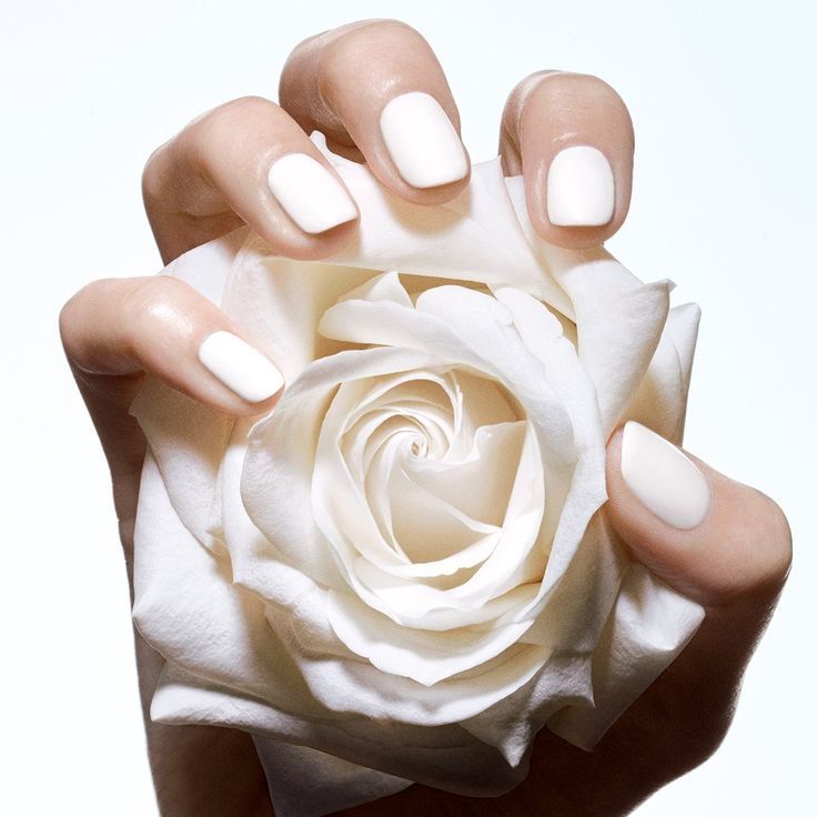 Pure Rose 50ml - Technical Panel 3